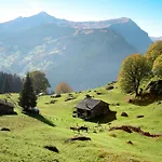 Woka 1 By Interhome * Grindelwald