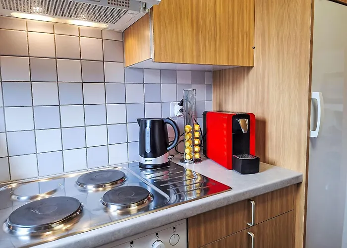 Woka 1 By Interhome * Grindelwald