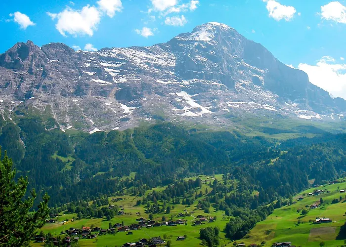 Woka 1 By Interhome * Grindelwald