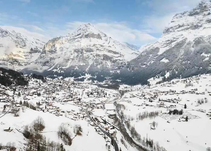 Woka 1 By Interhome * Grindelwald