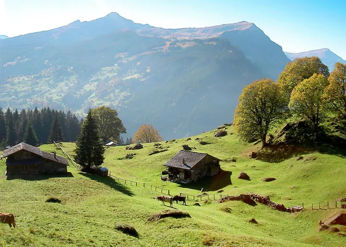 Woka 1 By Interhome * Grindelwald